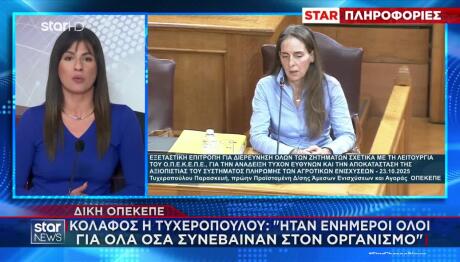 ΟΠΕΚΕΠΕ Δίκη: Ήταν ενήμεροι Όλοι Για Όλα Όσα Συνέβαιναν