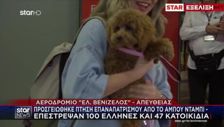 Επαναπατρίστηκαν Έλληνες Και Κατοικίδια Από Άμπου Ντάμπι