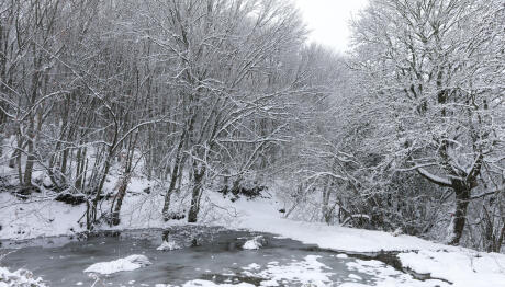 Καιρός: Ξεκινά Η Σιβηρική Εισβολή Με Κρύο Και Χιόνια
