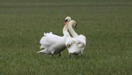 Άση Μπήλιου: Οι Ερωτικές Προβλέψεις Της Εβδομάδας 30/3/2026
