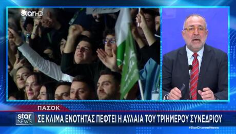 ΠΑΣΟΚ: Η Αλλαγή Καταστατικού Που Αποφασίστηκε Στο Συνέδριο