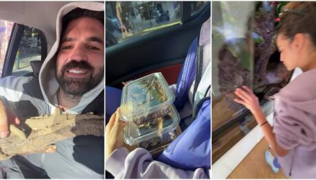 Αλεξάνδρου για Ελληνίδου: «Η κοπέλα δεν υπάρχει, είναι χειρότερη από μένα»