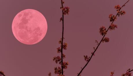 Foon Τι φέρνει η Πανσέληνος του Απριλίου σε σχέσεις και ισορροπίες;April