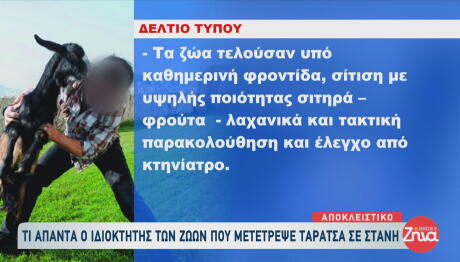 Ταράτσα Σε Στάνη