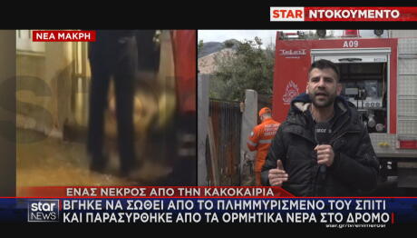 κακοκαιρία Erminio - Νέα Μάκρη