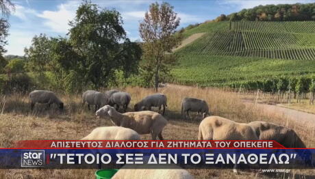 Διάλογος για τον ΟΠΕΚΕΠΕ: Τέτοιο σεξ δεν το ξαναθέλω