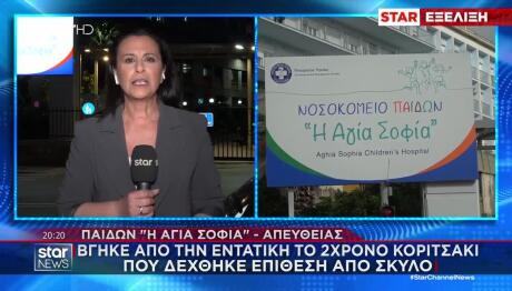 Πειραιάς: Εκτός Εντατικής Η 2χρονη Που Της Επιτέθηκε Σκύλος