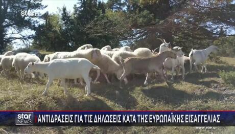 ΠΑΣΟΚ κατά κυβέρνησης