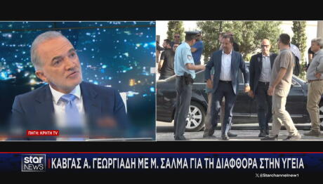 Μάριος Σαλμάς Άδωνις Γεωργιάδης