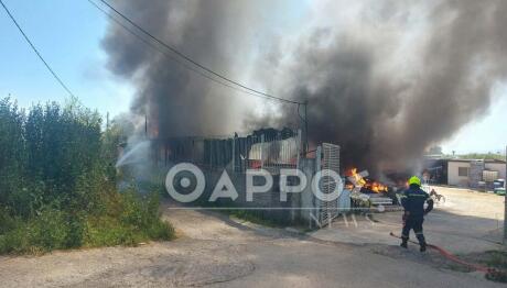 Μεγάλη Φωτιά Σε Επιχείρηση Στην Καλαμάτα