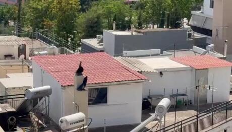 Περιστέρι: Τα Έξι Παιδιά Ζούσαν Σε 27 τ.μ Μέσα Στα Σκουπίδια
