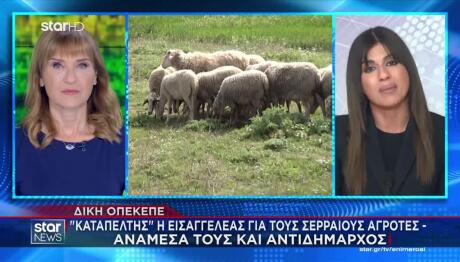 ΟΠΕΚΕΠΕ: Καταπέλτης Η Εισαγγελέας Για Τους Σερραίους Αγρότες