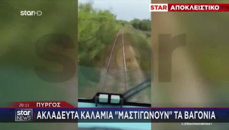 Πύργος: Ακλάδευτα Καλάμια «Μαστιγώνουν» Τα Βαγόνια
