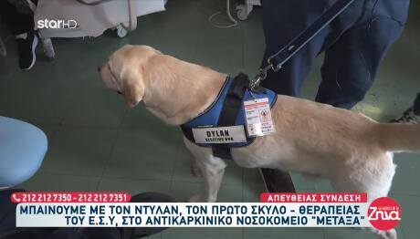 Ντίλαν: Αυτός Είναι Ο Πρώτος Σκύλος Θεραπείας