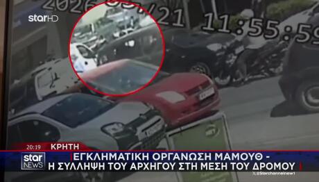 Κρήτη: Εγκληματική Οργάνωση Μαμούθ - Η Σύλληψη Του Αρχηγού