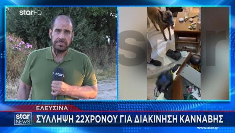 Ελευσίνα: Σύλληψη 22χρονου Για Διακίνηση Κάνναβης