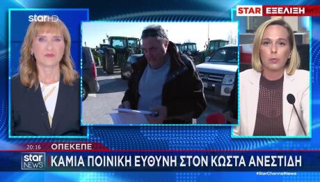 ΟΠΕΚΕΠΕ: Απαλλάχθηκε Με Βούλευμα Ο Κώστας Ανεστίδης