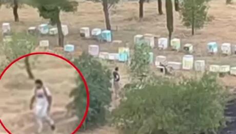 Φωτιά Άλσος Βεΐκου: Συνελήφθη Μελισσοκόμος