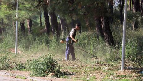 Ακαθάριστα Οικόπεδα