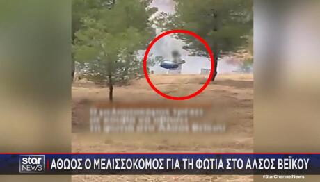 Αθώος Ο Μελισσοκόμος Για Τη Φωτιά Στο Άλσος Βεΐκου