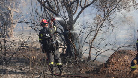 Συναγερμός Για Φωτιές: Αυξήθηκαν Σε 64 Το Τελευταίο 48ωρο