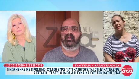 Τι Λέει Ο Άνδρας Που Εγκατέλειψε 9 Γατάκια- «Έφαγε» Πρόστιμο