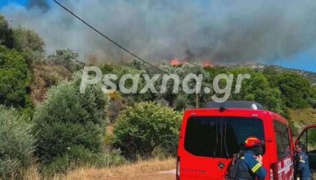 Φωτιά Στον Αλμυροπόταμο