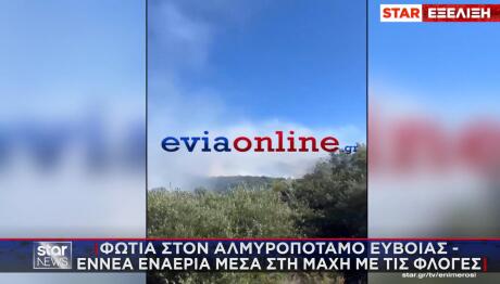 Φωτιά Στον Αλμυροπόταμο