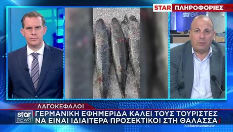 Λαγοκέφαλος: Ποια Θα Είναι Η Επιδότηση Για Την Αλίευσή Του