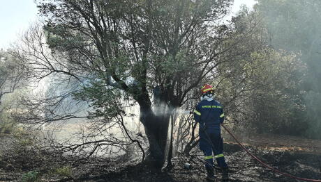 Φωτιά Τώρα Στα Σπάτα - Σηκώθηκαν Εναέρια Μέσα