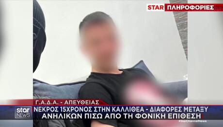 Δολοφονία 15χρονου Καλλιθέα: Tο Κίνητρο Της Επίθεσης