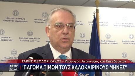 Θεοδωρικάκος για πάγωμα τιμών