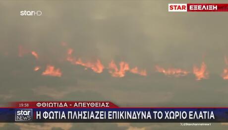 Φωτιά Φθιώτιδα: Στάχτη Κτηνοτροφικές Μονάδες