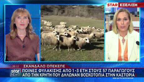 ΟΠΕΚΕΠΕ ποινές