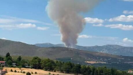 Φωτιά Στην Οινόη Αττικής
