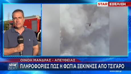 Φωτιά Στην Οινόη Αττικής