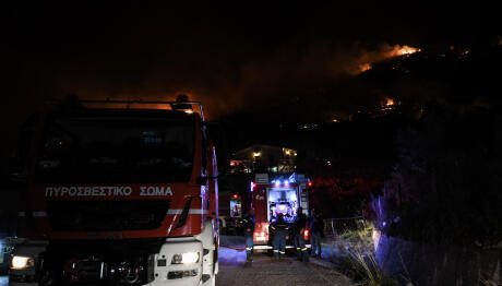 Φωτιά στην Αγία Ελένη Τροιζηνίας