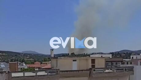 Φωτιά Τώρα στο Αλιβέρι Εύβοιας - Μήνυμα Από Το 112