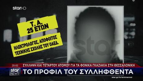 Νέστορα:Αυτός Είναι Ο 25χρονος Που Συνελήφθη Για Την Επίθεση