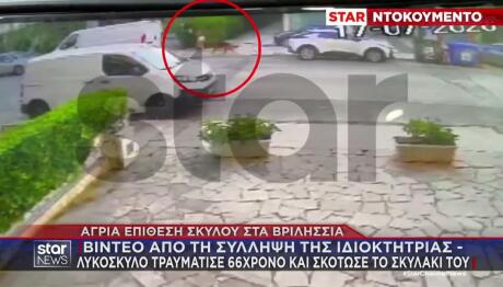 Βριλήσσια: Η Στιγμή Που Απομακρύνουν Τον Σκύλο Από Το Σημείο