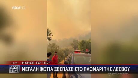Φωτιά Λέσβος: Τραυματίστηκε Πυροσβέστης Στην Κατάσβεση