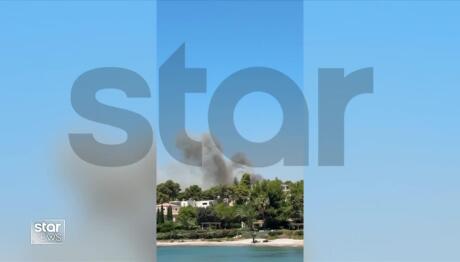 Φωτιά Αργολίδα: Απανωτά 112 - Κάηκαν Σπίτια Στα Φίχτια
