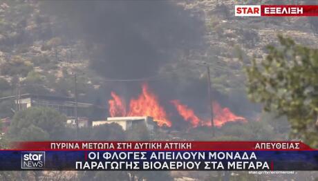 Φωτιές Δυτική Αττική: Αναζωπύρωση Στον Κιθαιρώνα