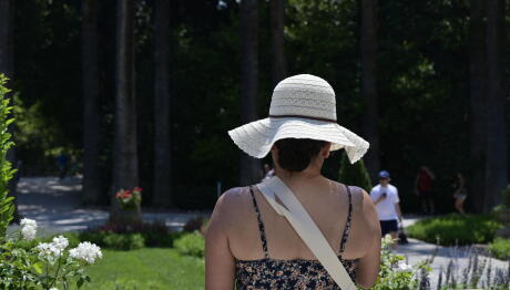Καιρός: Έρχονται Ξανά 40άρια - Τι Θα Γίνει Με Τα Μελτέμια
