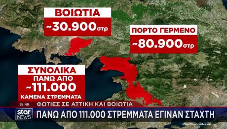 Γράφημα STAR: Τα 110.000 καμένα στρέμματα σε Αττική και Βοιωτία