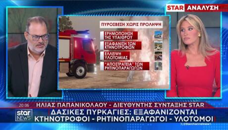 Ηλίας Παπανικολάου για τις φωτιές