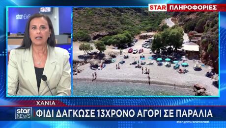 Χανιά: Φίδι Δάγκωσε 13χρονο Σε Παραλία