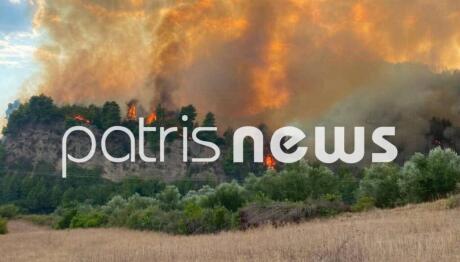 Μεγάλη φωτιά στο Μουζάκι Ηλείας - Επιχειρούν 105 πυροσβέστες και 9 εναέρια