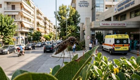 Ιός Δυτικού Νείλου: 45 Νέα Κρούσματα Και 9 Θάνατοι
