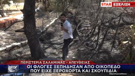 Σαλαμίνα φωτιά